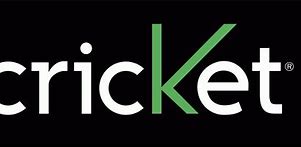 Image result for Pak Cricket Logo