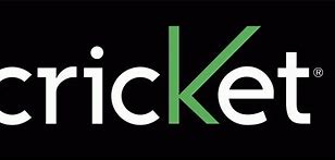 Image result for Cricket Wireless Winter Logo