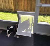 Image result for Screen Door Protector Pet