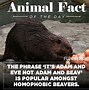 Image result for Fun Animal Facts Meme