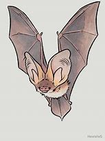 Image result for Cute Bat Art