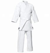 Image result for Retro Karate Kimono