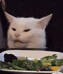 Image result for Mad Cat Meme at Table