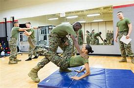Image result for Marine Corps Martial Arts