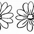 Image result for Flower Sketch Easy