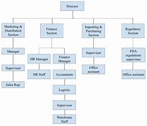 Image result for BP Corporate Structure