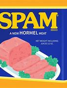 Image result for Spam Dishes
