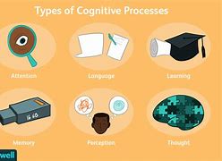 Image result for Cognitive Psychology Real Life Examples