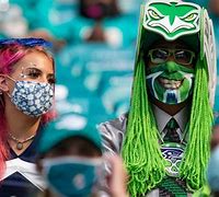 Image result for Seahawks Defeat Dolphins Funny