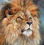 Image result for Animal Prints Paint