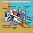 Image result for Anatomy of a Home Air Conditioning System