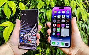 Image result for iPhone 12 vs Pixel 7 Camnera Pictures