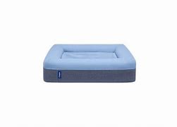 Image result for Most Expensive Dog Bed