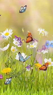 Image result for Beautiful Spring iPhone Wallpaper