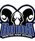 Image result for Newton HS Covington GA