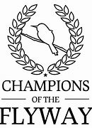Image result for International Race of Champions Logo
