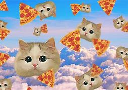 Image result for Friday Pizza Cat
