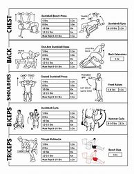 Image result for Upper Body Workout Routine