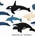 Image result for Whale Animoji
