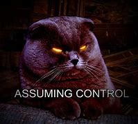 Image result for Black Cat Glowing Eyes Meme