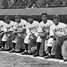 Image result for Homestead Grays
