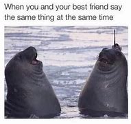 Image result for When You and Your Friend Are Opposites Meme