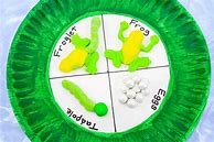 Image result for Frog Life Cycle Craft for Kids
