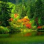 Image result for Nature Background Screensavers