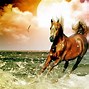 Image result for Race Horse PC Wallpaper