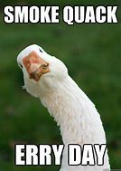 Image result for Cute Funny Duck Memes