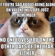 Image result for cats valentines memes