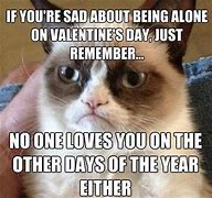 Image result for V-Day Meme Cat