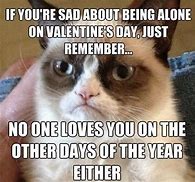 Image result for Cat Valentine Day Meme