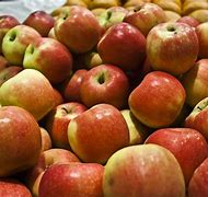Image result for Small Apple Fruit