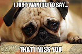 Image result for Miss You Puppy Meme