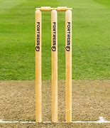 Image result for Cricket Ground with Wicket