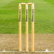 Image result for Cricket Wicket and Stumps