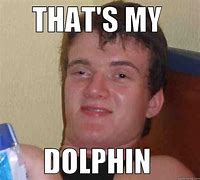 Image result for Sad Dolphins Meme