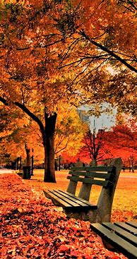 Image result for Fall Cell Phone