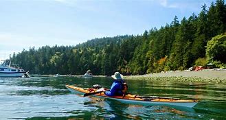 Image result for Old Pelican Kayaks