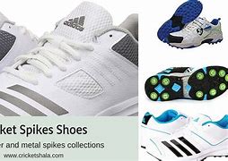 Image result for Cricket Spikes
