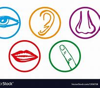 Image result for Five Senses Icons