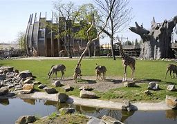 Image result for dierentuin over