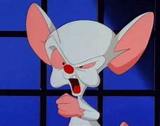Image result for Pinky and the Brain Love