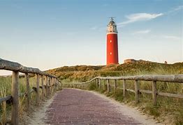 Image result for Foto Texel