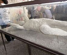 Image result for Pompeii Mummy