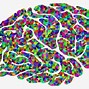 Image result for Free Clip Art Shrinking Brain