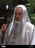 Image result for Saruman Lord of the Rings the Two Towers