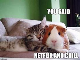 Image result for Netflix and Chill Meme She a Keeper