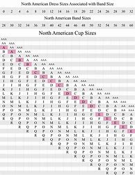 Image result for Us Bra Cup Size Chart